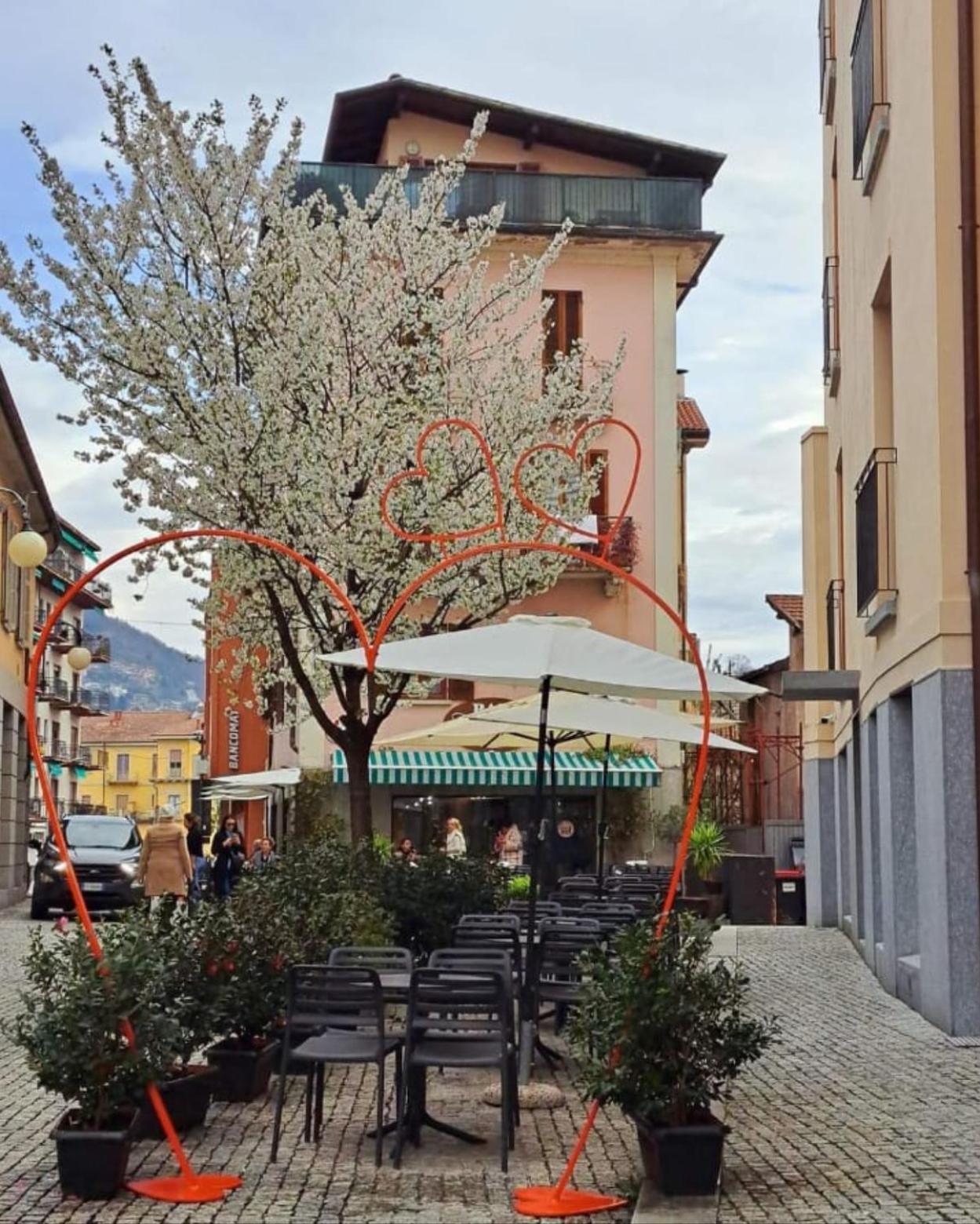 La Terrazza Apartamento Verbania Exterior foto